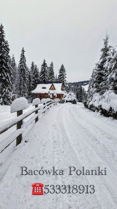 Domek z balią i kominkiem w lesie Podhale Gorce