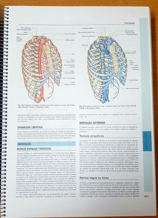 Anatomia- A base anatômica da prática clínica