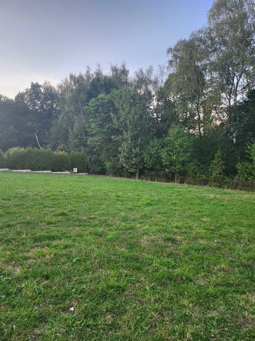 Działka budowlana 1120 m²/Zebrzydowice - Widok 3