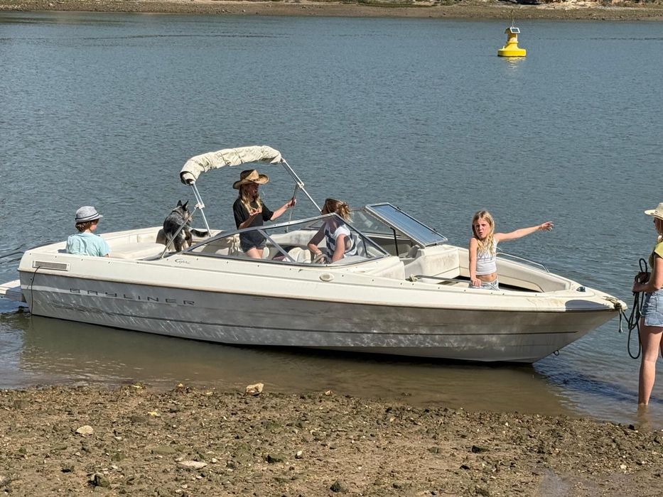 Bayliner Capri 1950
