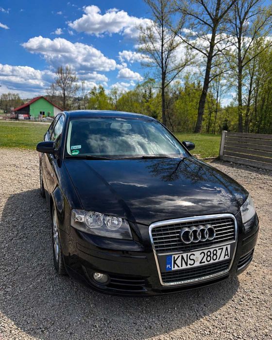 Audi A3 8p 2.0 tdi