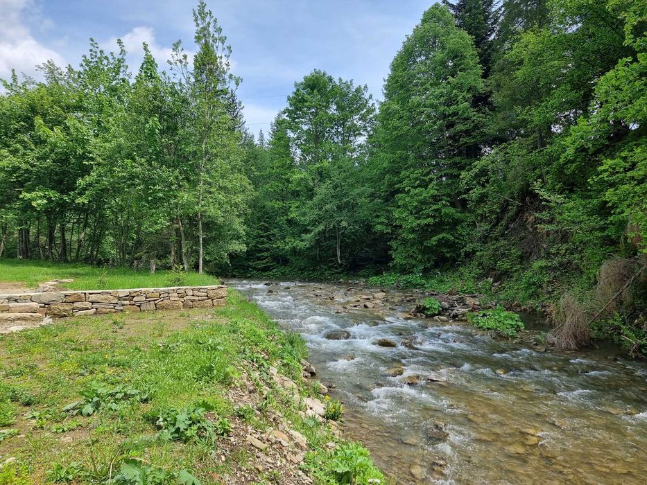 Продаж котедж 65.2 м.кв. 9 сот. вул. Шевченка 164 с. Гребенів