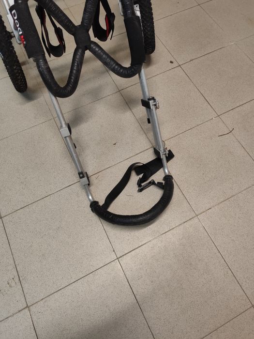 Cadeira de rodas para Pastor Alemão