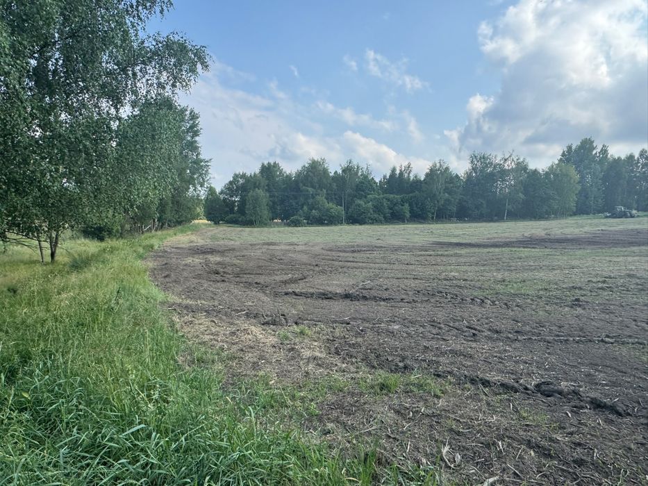 Rekultywacja usuwanie zadrzewień mulczowanie