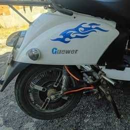 Moto eletrica GUEWER