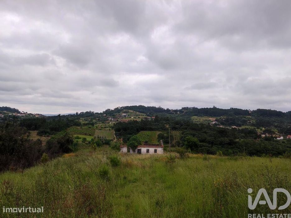 Terreno para construção em Colmeias e Memória de 116,00 m2