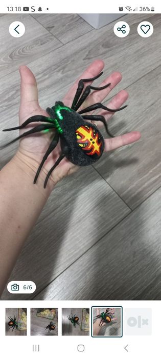 Zabawka Pająk  Tarantula w Terarium.