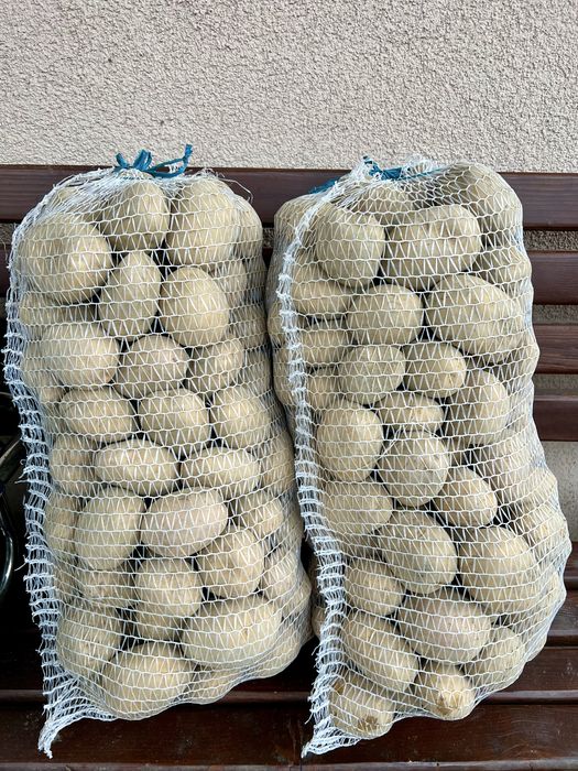 Ziemniaki jadalne z własnego gospodarstwa