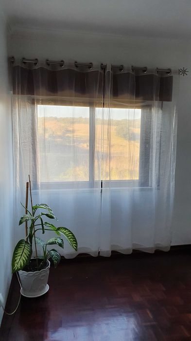 Transparent Curtains64741085994626124