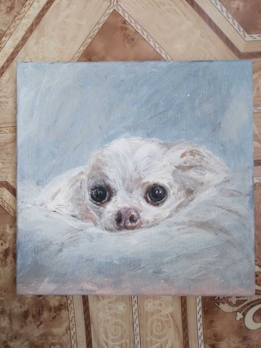 Картина. Собака. Чихуахуа.20 х20см
