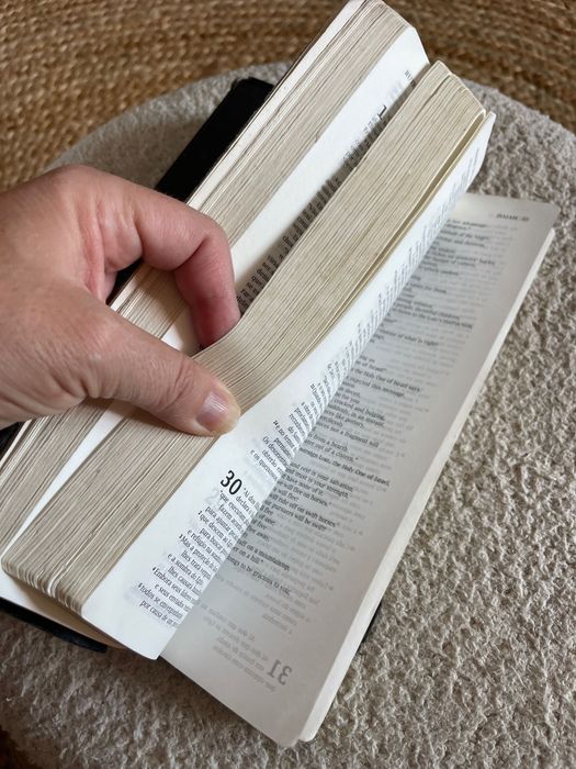 Bíblia Sagrada Bilíngue (Português/Inglês - NVI/NIV)