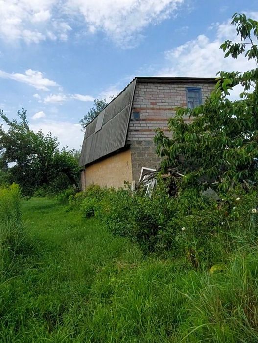 Продам дачу в селі Кіїнка