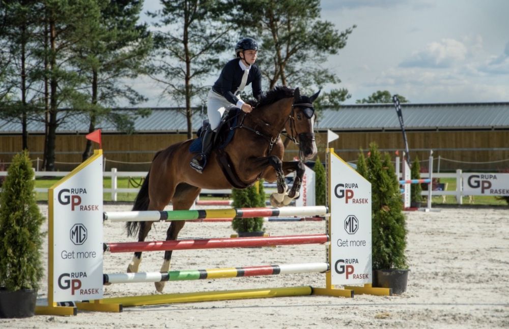 Ambitna klacz do sportu