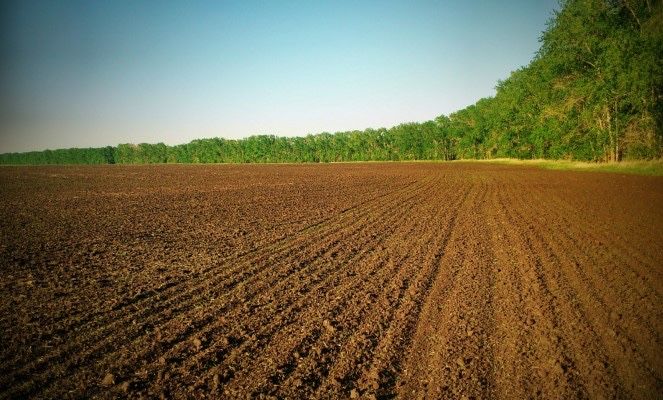 Пай 4.3Га приватизований або обміняю на авто