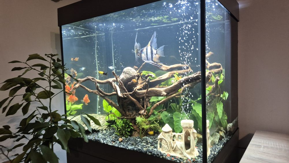 Juwel lido 200 LED Z SZAFKĄ (NOWE)