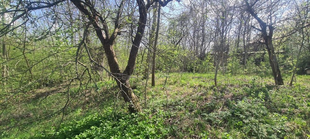 Земельна ділянка м.Жмеринка