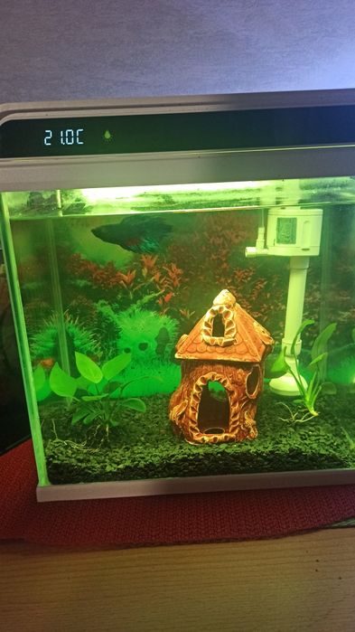 Продам технологичный  аквариум на 12 л