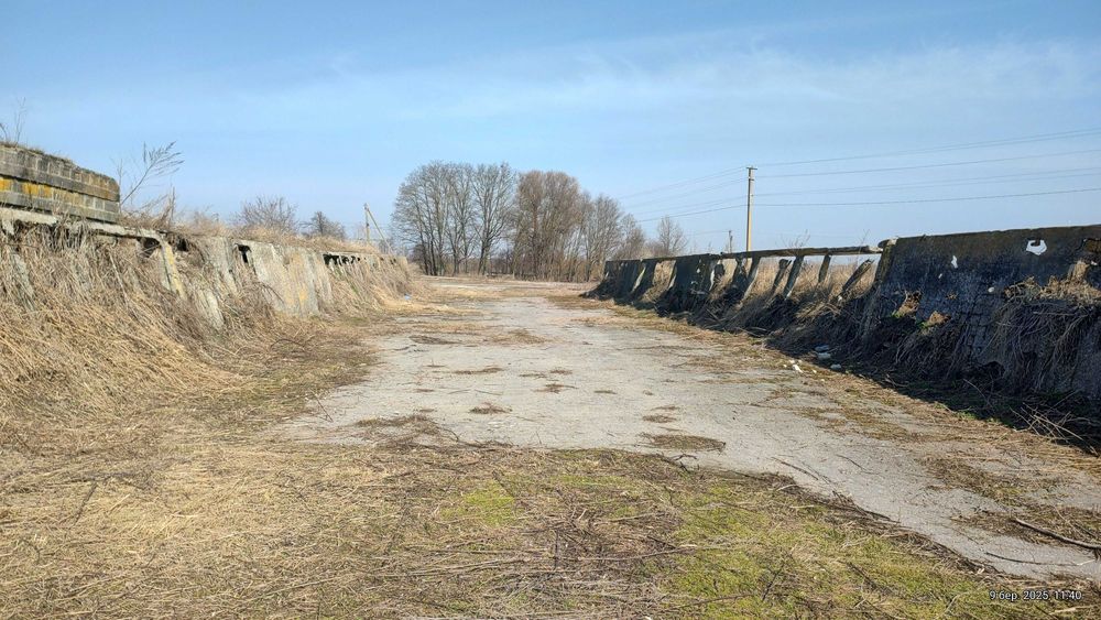 Ферма Свиноферма Скотарство Зерносхови Цех Броварський 600квм 70сот