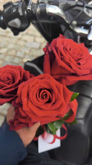 I have red rose dilvery free in aviero