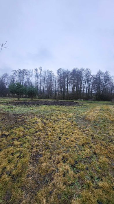 Działka Przypki koło Tarczyna dzierżawa wynajem - Widok 3
