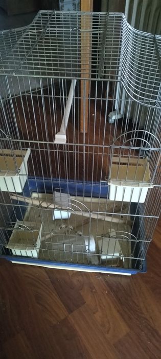 Vendo gaiola para pássaros