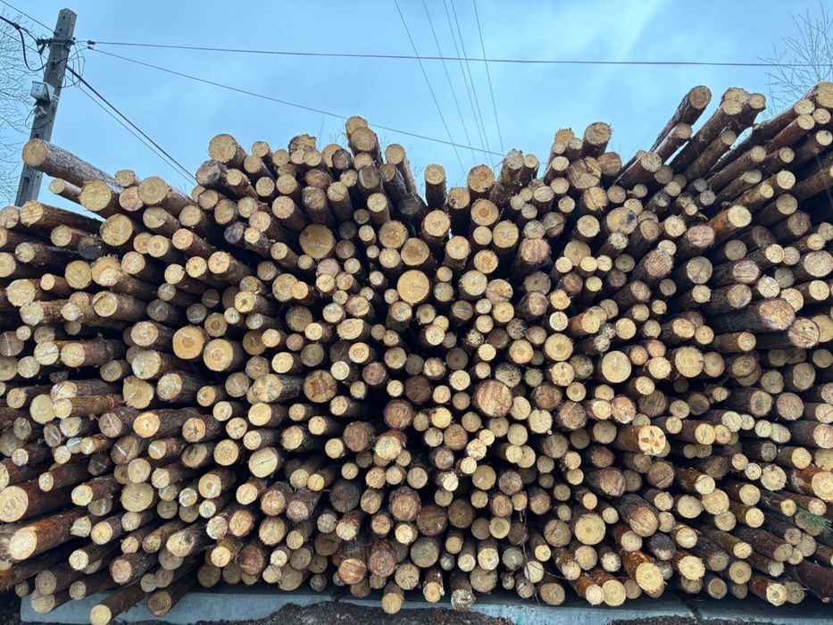 Stemple budowlane sosnowe 3 m  9 zł