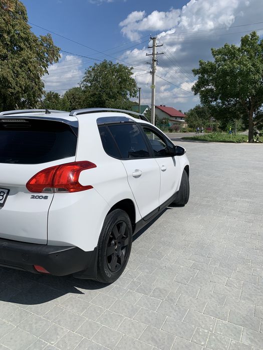 Продається молода !!!