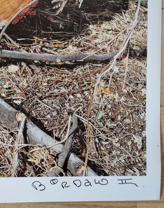 Bordalo II - Fragile - Esgotada - Grande Formato