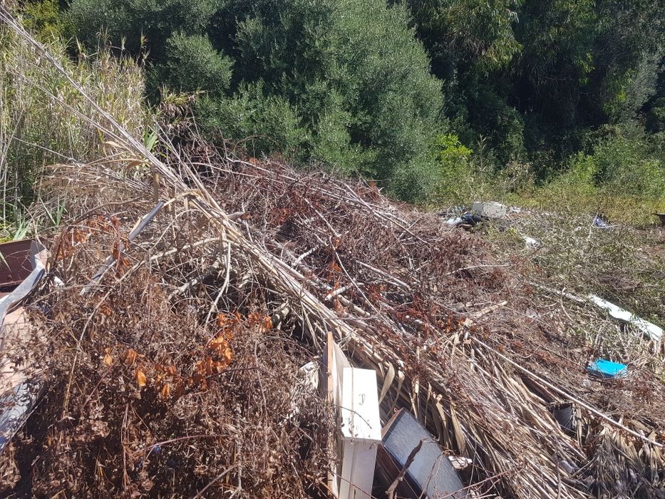 Limpezas de casas e terrenos