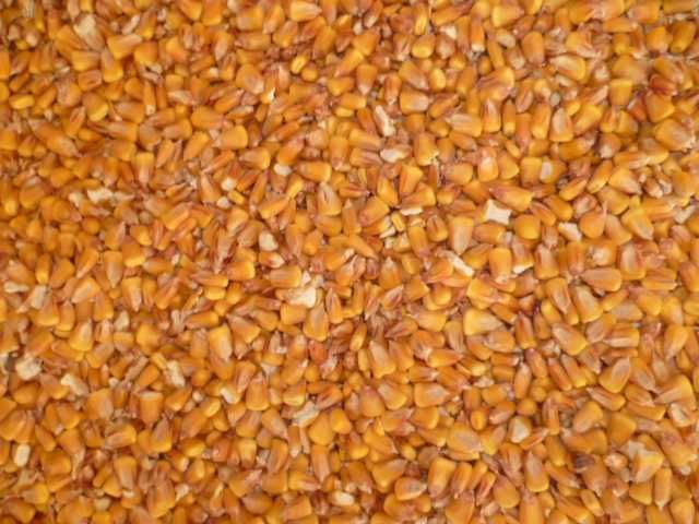Продам кукурудзу