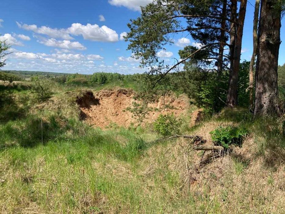 Działka rolna 3,24ha Ruda, gmina Korczew, Nadbużański Park Krajobrazowy - Widok 4