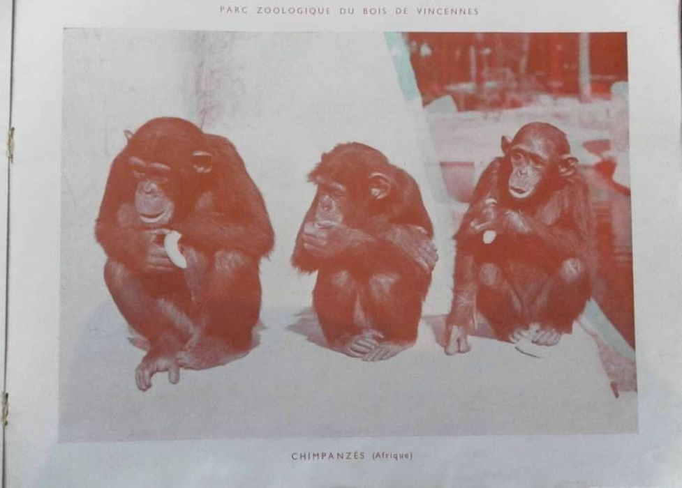 Zoo de Paris, 3D, antigo