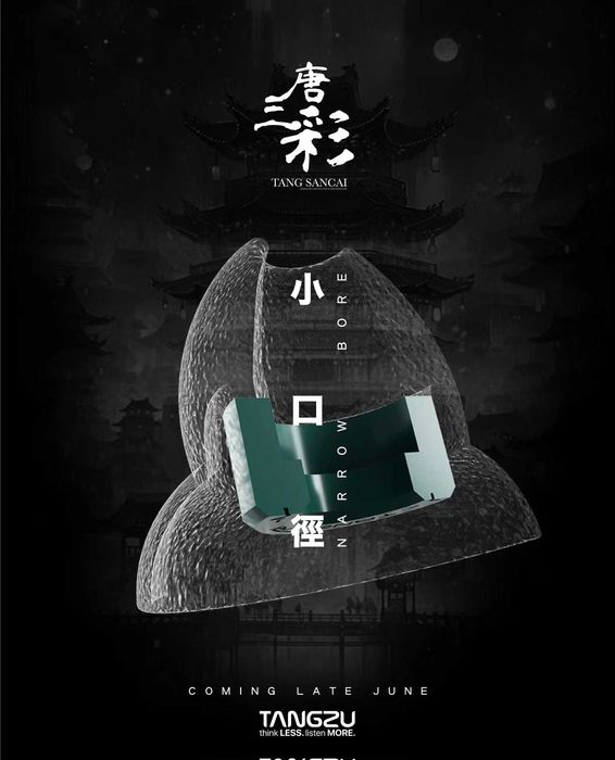 ‼️ Tangzu Sancai Tang Narrow Bore сменные bass амбушюры для наушников