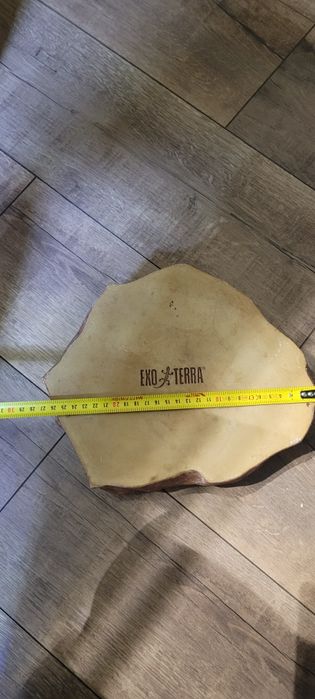 Basen do terrarium wąża gekon trocina