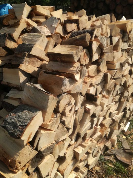 Drewno kominkowe / opałowe ŚWIERK