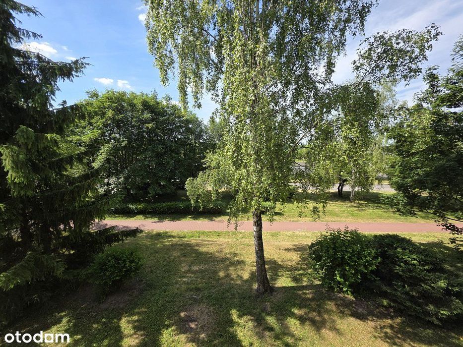 Mieszkanie/ 44,36 m2/1 piętro/Chełm/Oś. Słoneczne
