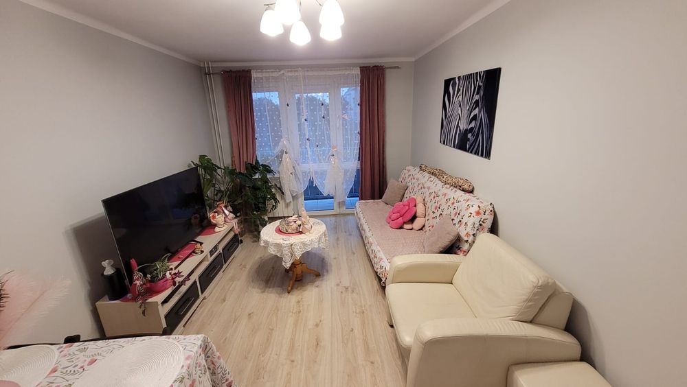 Wynajmę mieszkanie 36m2 od zaraz!
