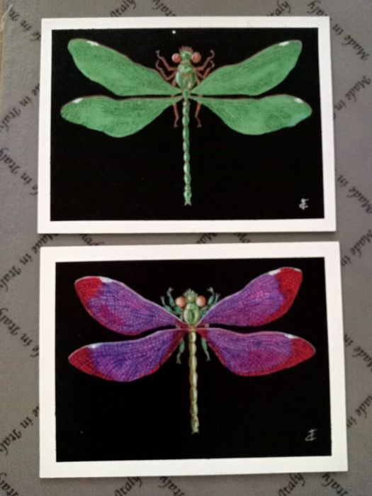Картины авторские стрекозы бабочки зимородок птица