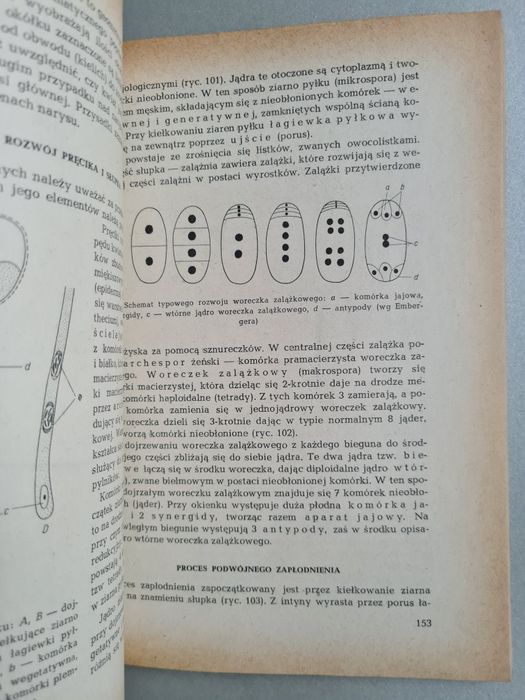 Systematyka roślin leczniczych - Książka