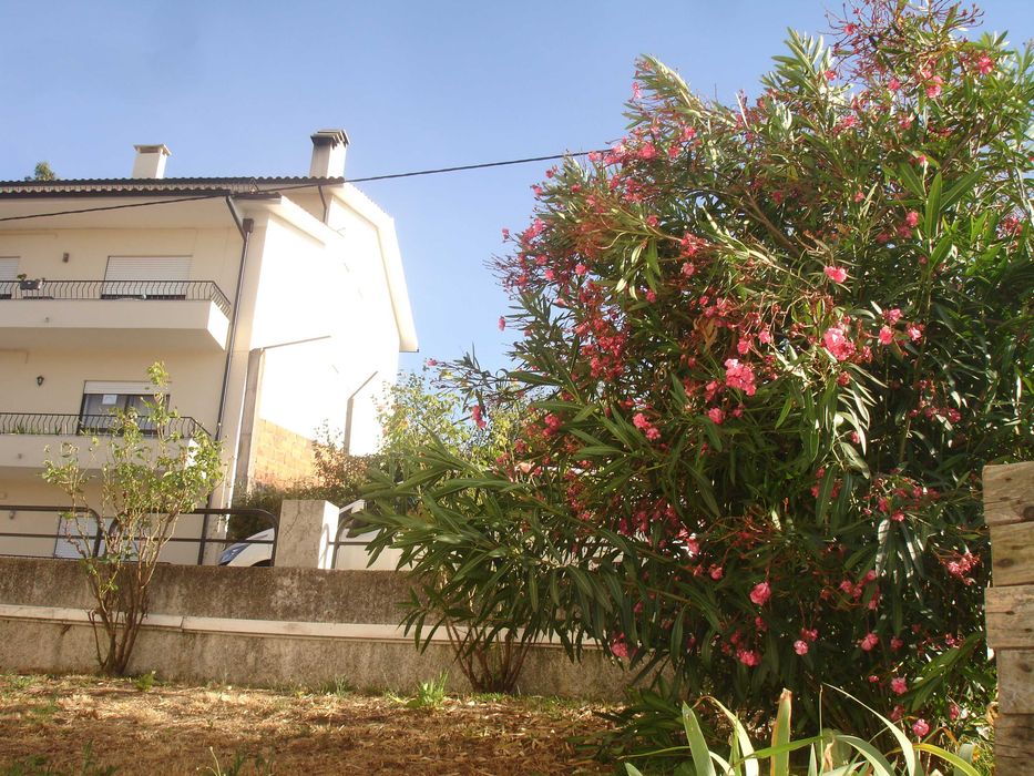 Arrendo apartamento T3 em S. Martinho do Bispo_Fala_Coimbra