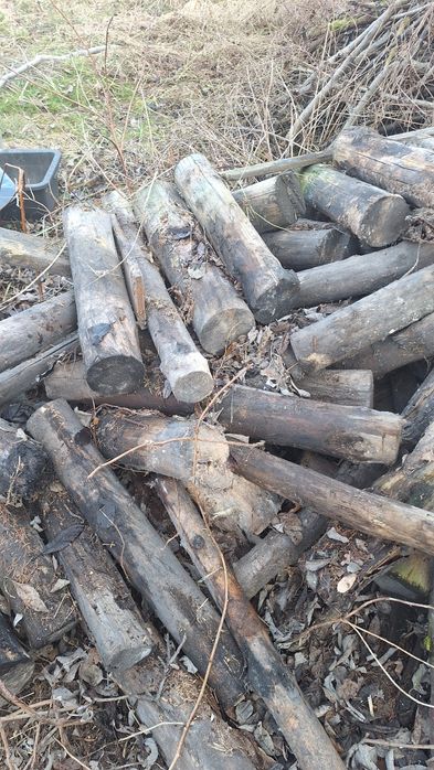 Drewno na opał, orzech i inne