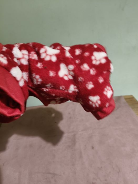 Piżamka dla psa Hotel Doggy 11