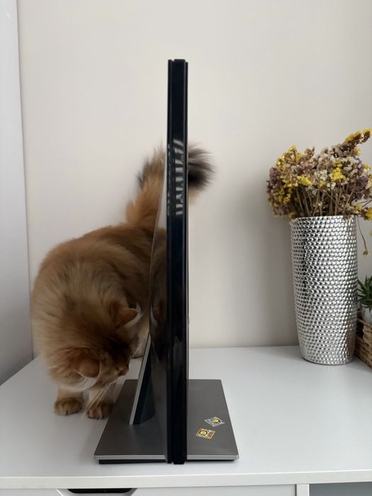 Монітор dell 23.6