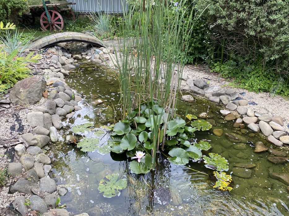 Будинок за адресою вул. Магістратська (площа 350 м²) - Atlanta.ua - фото 18