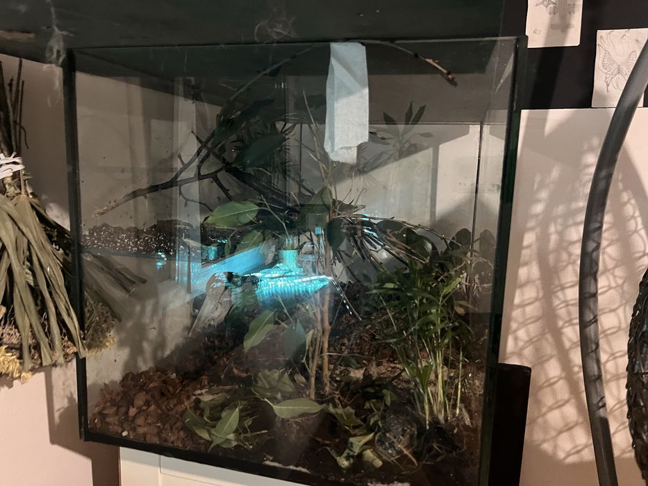 Sprzedam terrarium/akwarium