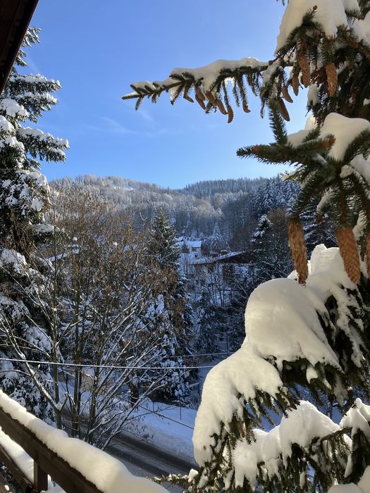 Niezapominajka noclegi