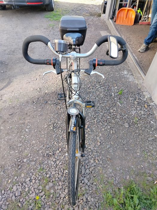 Mackenzie 26 damsko męski