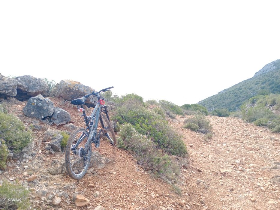 Bicicleta  de trilho