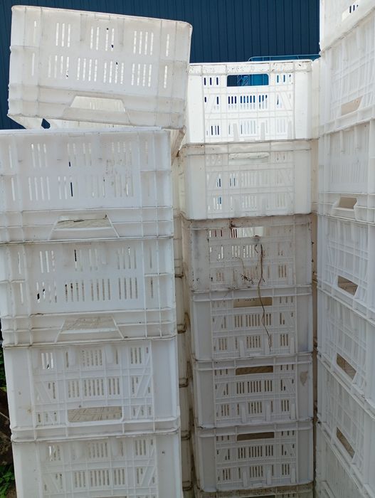 Skrzynki plastikowe na mięso owoce białe pojemnik 150 szt