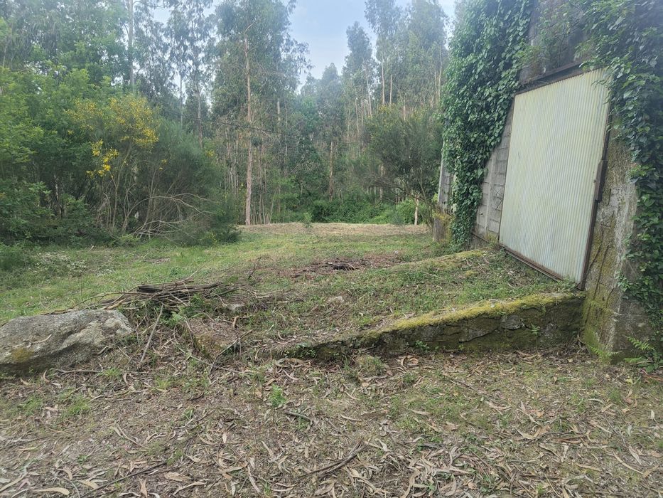 Terreno 1000 m² com construção – São Vicente de Lafões | Perto da A25 | Oportunidade